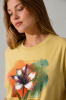 31169_006